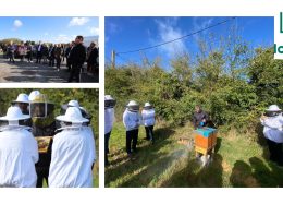 Lancement officiel du quartier de La Croix à Saint-Gilles-Croix-de-Vie (85)